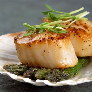 Diver Scallops Jt S Gourmet Delivery